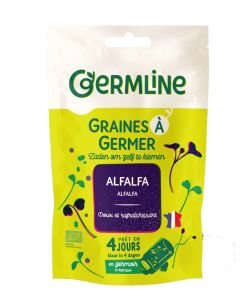 Seeds germinate - Alfalfa